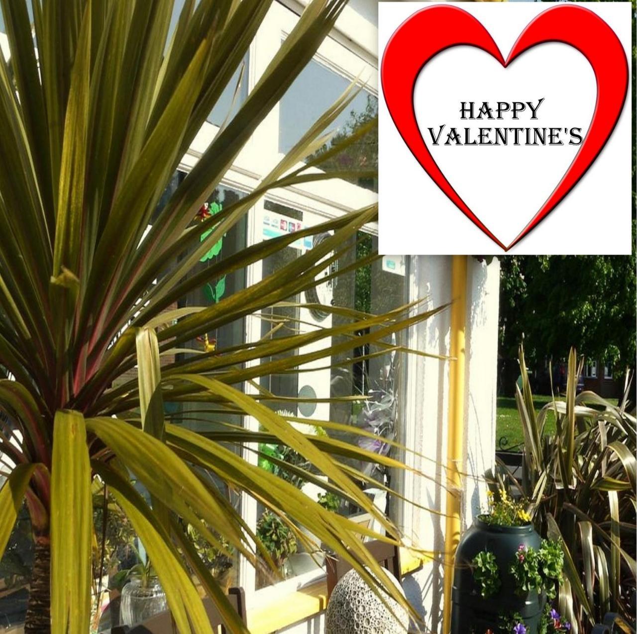 Kilbrannan Guest House เกรทยาร์มัธ ภายนอก รูปภาพ